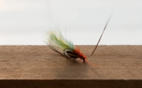 The construction The construction