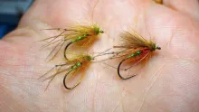 Video thumb for F-Fly Olive Hopper
